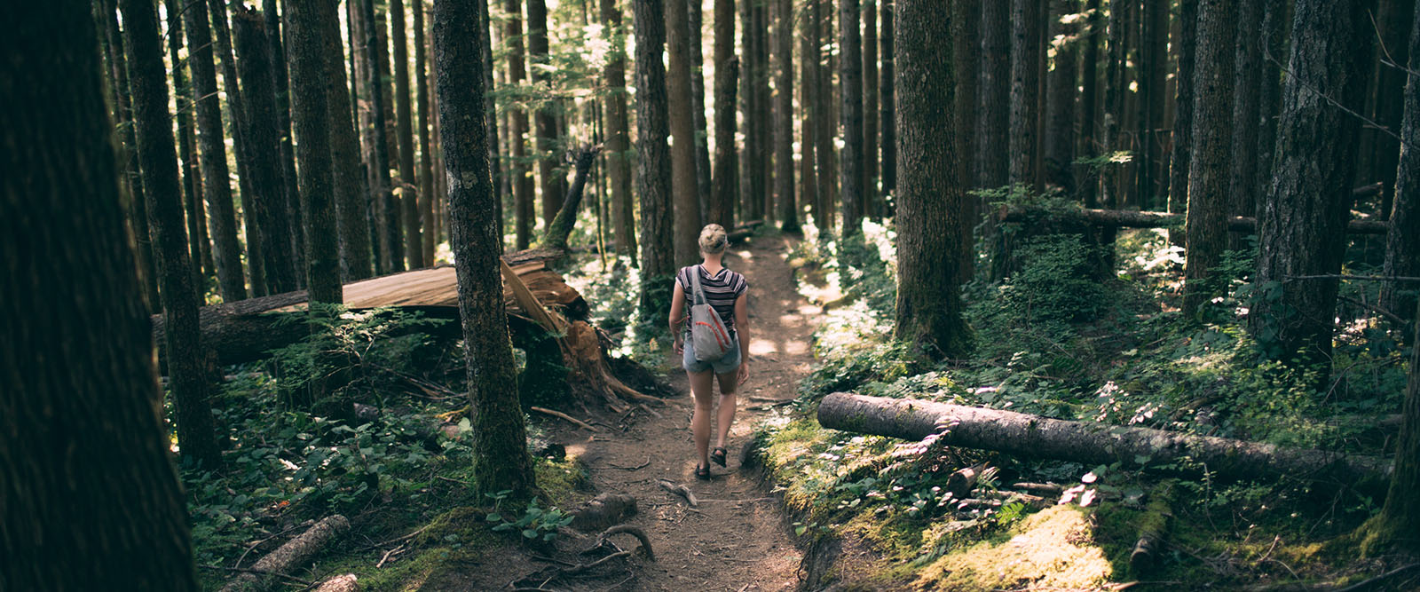 woman hiking in forest